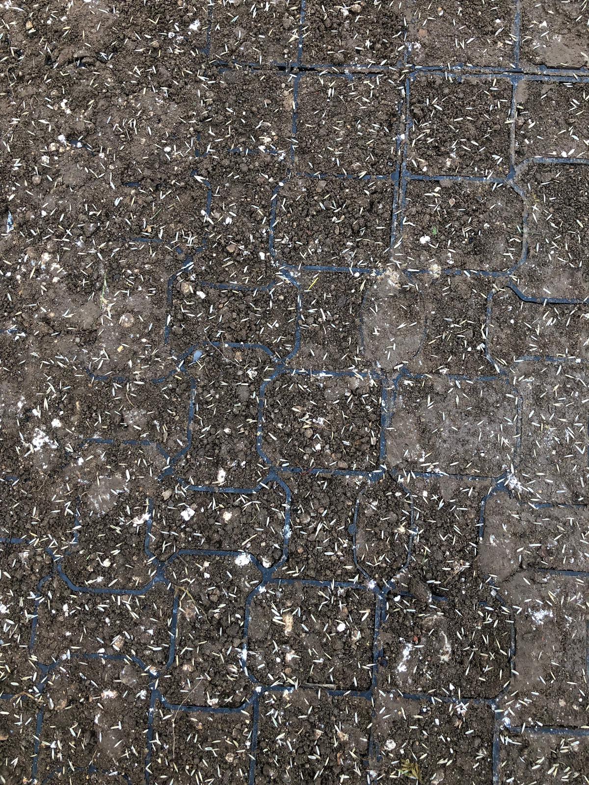 Geogrid filled with soil- seeded with grass