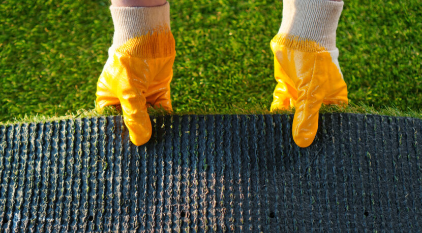 Temporary vs Permanent Pathways