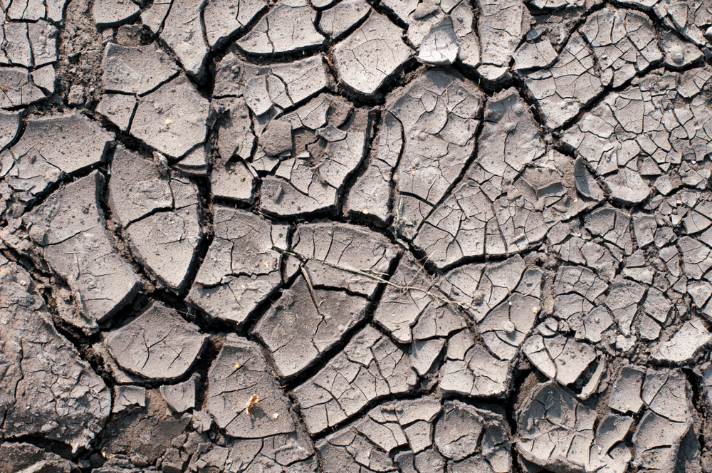 Hidden Dangers That Could Be Your Most Costly Mistake